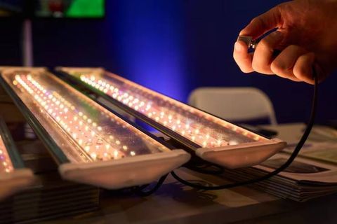 LED Lighting Guide to Choosing the Right Fixtures for Your Space